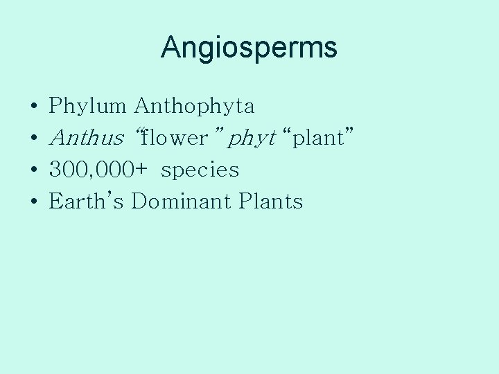 Angiosperms • • Phylum Anthophyta Anthus “flower” phyt “plant” 300, 000+ species Earth’s Dominant