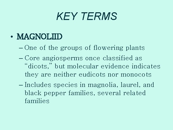 KEY TERMS • MAGNOLIID – One of the groups of flowering plants – Core