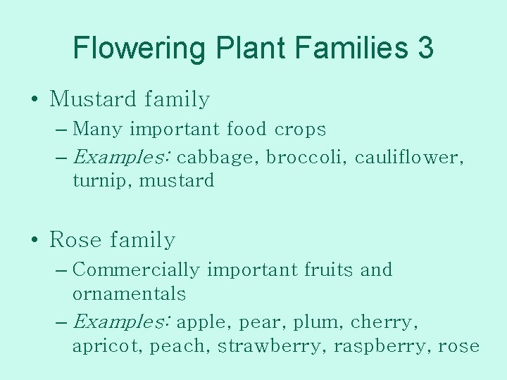 Flowering Plant Families 3 • Mustard family – Many important food crops – Examples:
