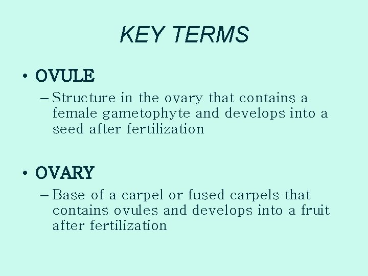 KEY TERMS • OVULE – Structure in the ovary that contains a female gametophyte