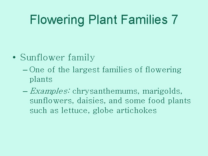 Flowering Plant Families 7 • Sunflower family – One of the largest families of