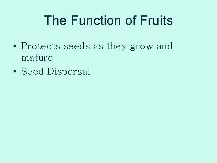 The Function of Fruits • Protects seeds as they grow and mature • Seed