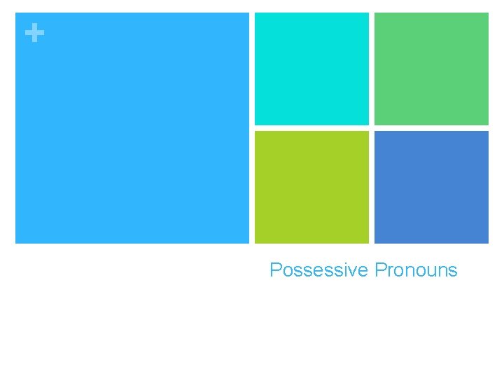 + Possessive Pronouns 