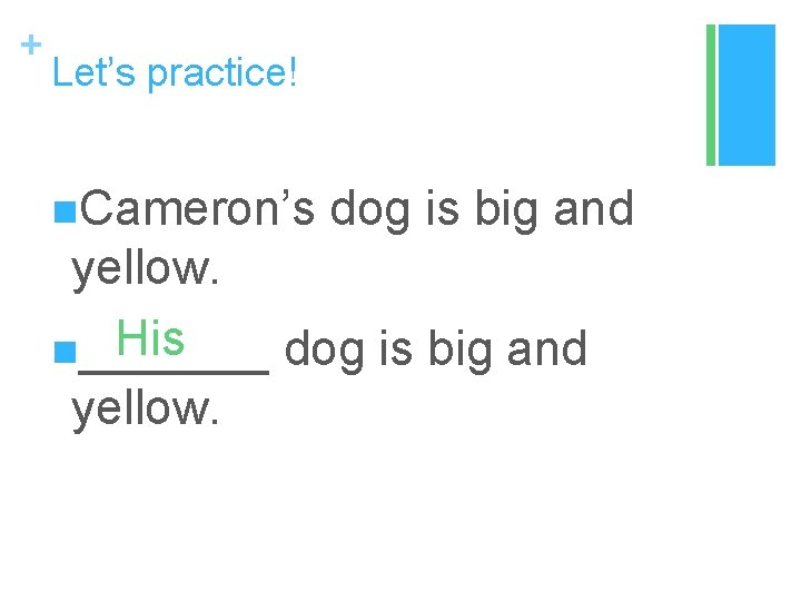 + Let’s practice! n. Cameron’s dog is big and yellow. His n_______ dog is