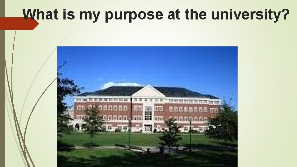 What is my purpose at the university? 