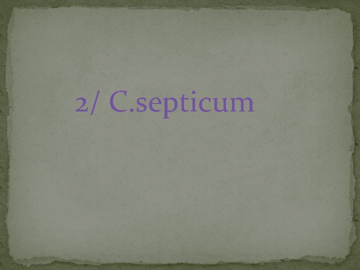 2/ C. septicum 