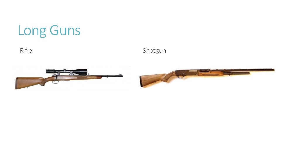 Long Guns Rifle Shotgun 