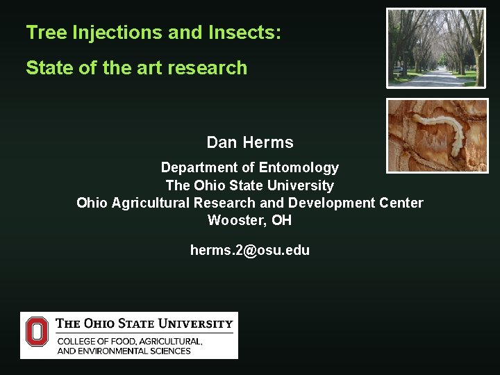 Tree Injections and Insects State of the art
