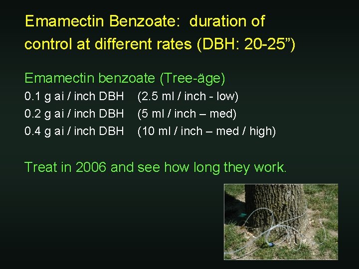 Emamectin Benzoate: duration of control at different rates (DBH: 20 -25”) Emamectin benzoate (Tree-äge)