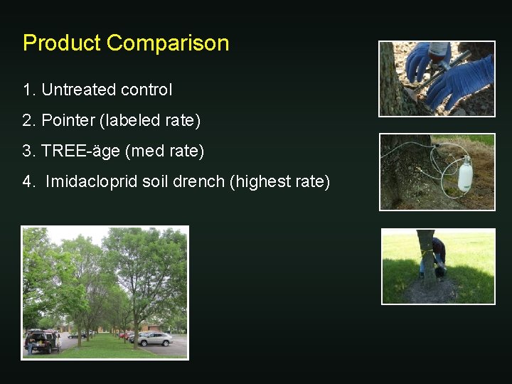 Product Comparison 1. Untreated control 2. Pointer (labeled rate) 3. TREE-äge (med rate) 4.