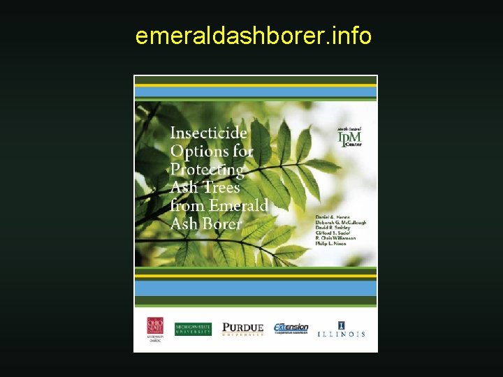 emeraldashborer. info 