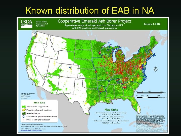 Known distribution of EAB in NA 