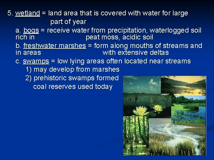 5. wetland = land area that is covered with water for large part of