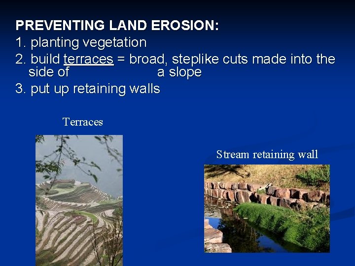 PREVENTING LAND EROSION: 1. planting vegetation 2. build terraces = broad, steplike cuts made