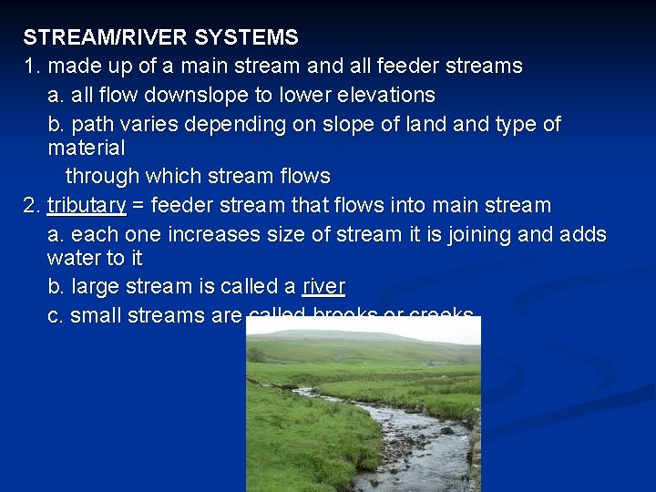 STREAM/RIVER SYSTEMS 1. made up of a main stream and all feeder streams a.