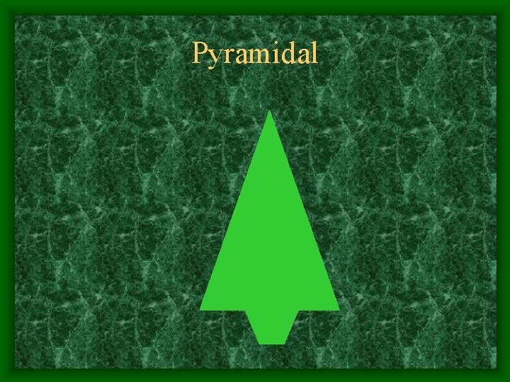 Pyramidal 
