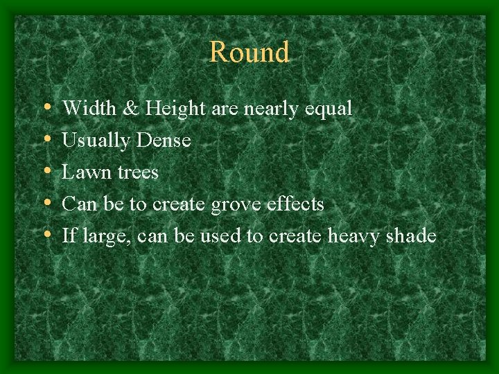 Round • • • Width & Height are nearly equal Usually Dense Lawn trees