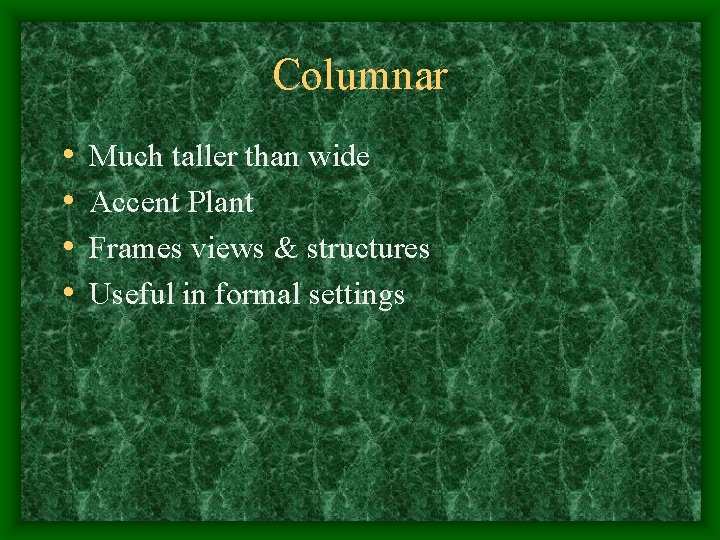 Columnar • • Much taller than wide Accent Plant Frames views & structures Useful