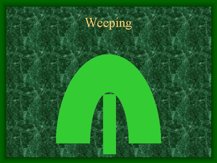 Weeping 