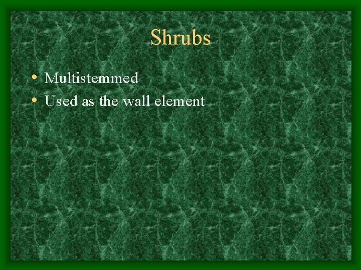Shrubs • Multistemmed • Used as the wall element 
