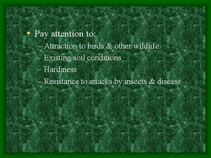  • Pay attention to: – Attraction to birds & other wildlife – Existing