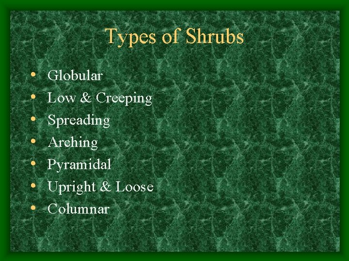 Types of Shrubs • • Globular Low & Creeping Spreading Arching Pyramidal Upright &