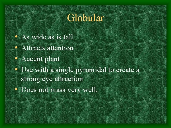 Globular • • As wide as is tall Attracts attention Accent plant Use with