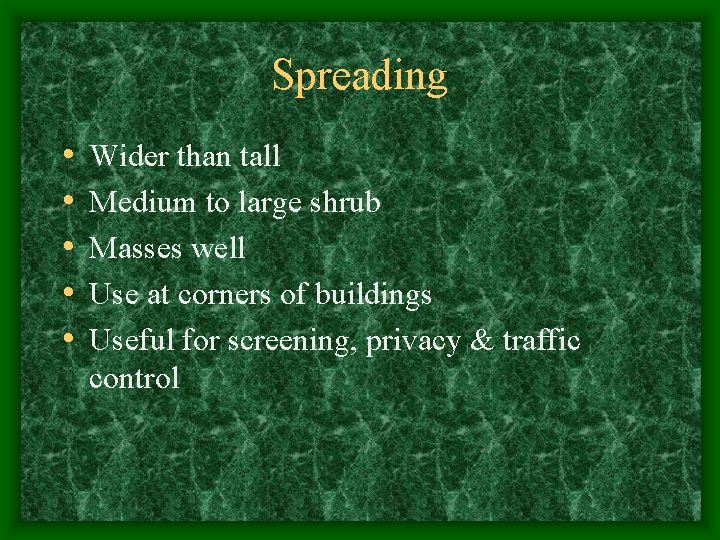 Spreading • • • Wider than tall Medium to large shrub Masses well Use