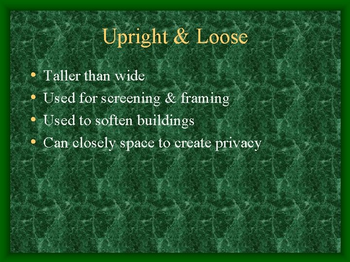 Upright & Loose • • Taller than wide Used for screening & framing Used