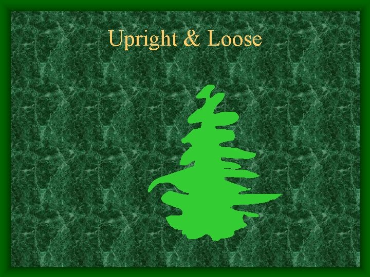 Upright & Loose 