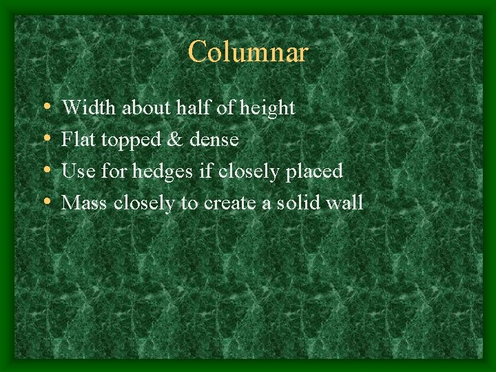 Columnar • • Width about half of height Flat topped & dense Use for