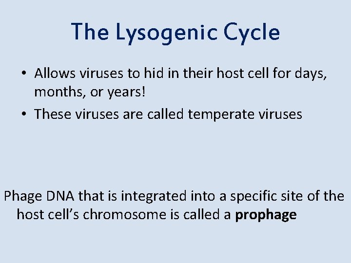 The Lysogenic Cycle • Allows viruses to hid in their host cell for days,