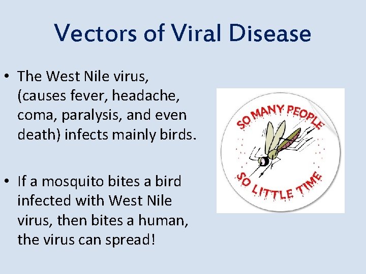 Vectors of Viral Disease • The West Nile virus, (causes fever, headache, coma, paralysis,