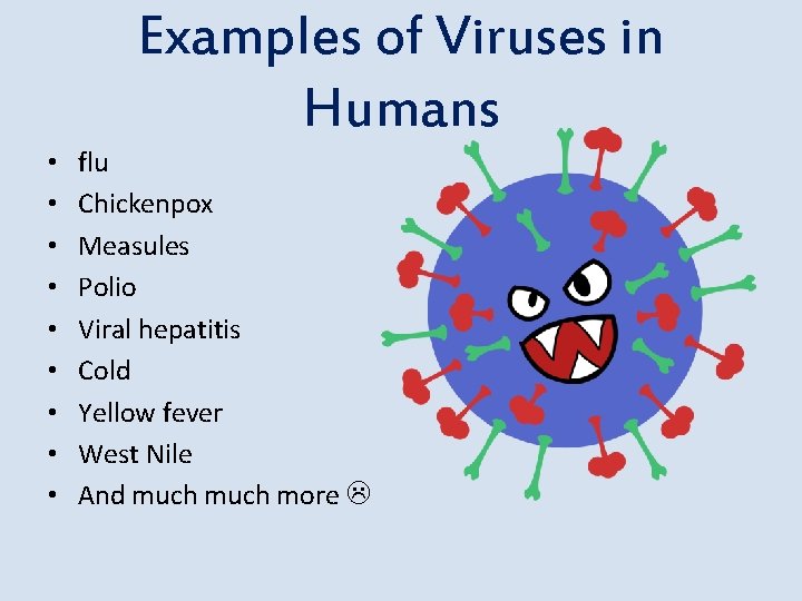  • • • Examples of Viruses in Humans flu Chickenpox Measules Polio Viral