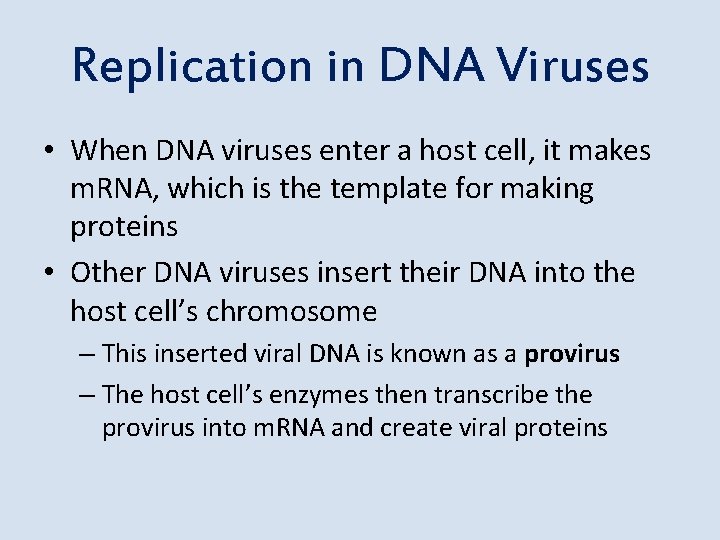 Replication in DNA Viruses • When DNA viruses enter a host cell, it makes
