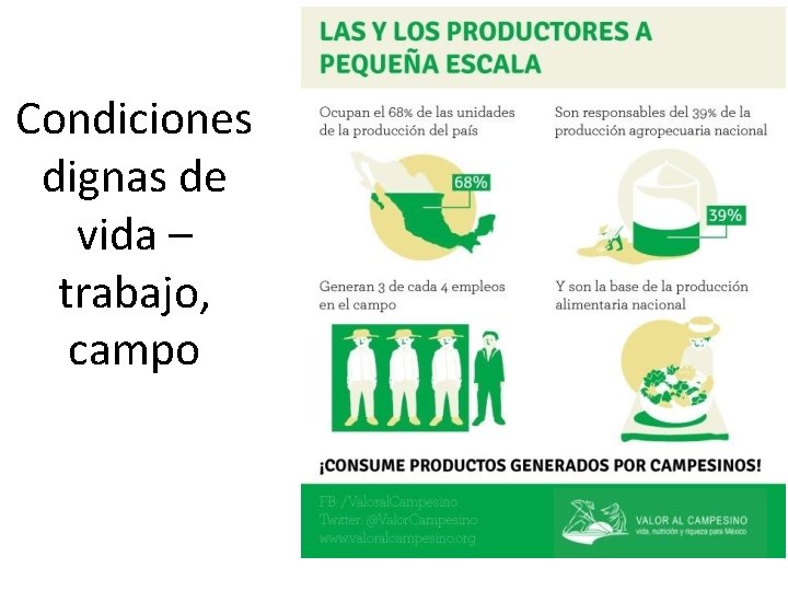 Condiciones dignas de vida – trabajo, campo 