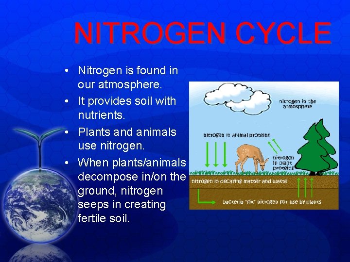 NITROGEN CYCLE • Nitrogen is found in our atmosphere. • It provides soil with NITROGEN CYCLE • Nitrogen is found in our atmosphere. • It provides soil with