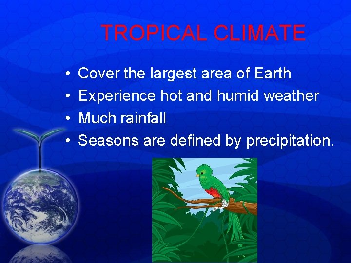 TROPICAL CLIMATE • • Cover the largest area of Earth Experience hot and humid TROPICAL CLIMATE • • Cover the largest area of Earth Experience hot and humid