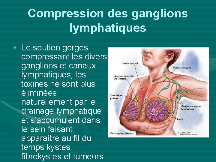 Compression des ganglions lymphatiques • Le soutien gorges compressant les divers ganglions et canaux