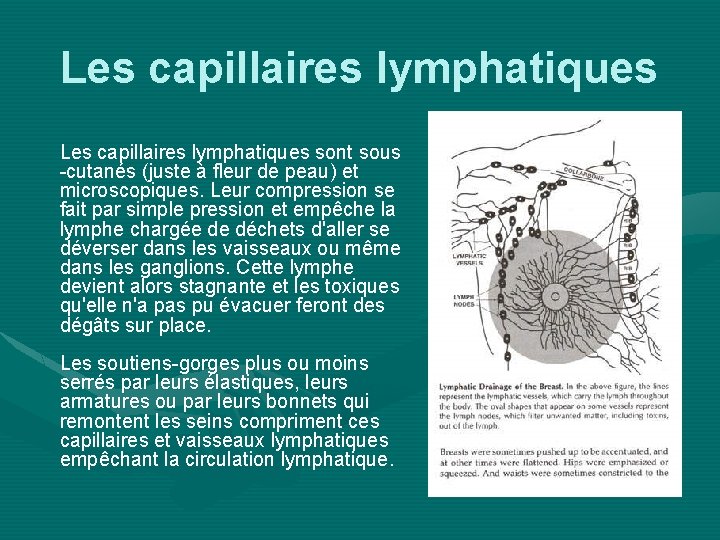 Les capillaires lymphatiques sont sous -cutanés (juste à fleur de peau) et microscopiques. Leur