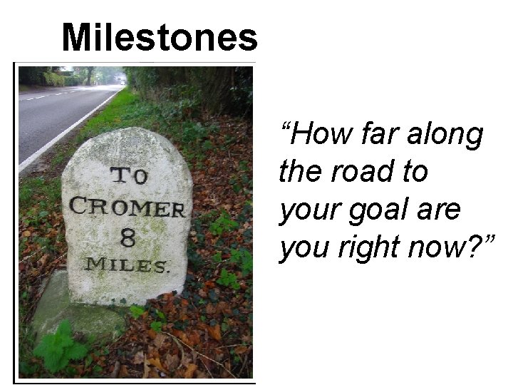 Milestones “How far along the road to your goal are you right now? ”