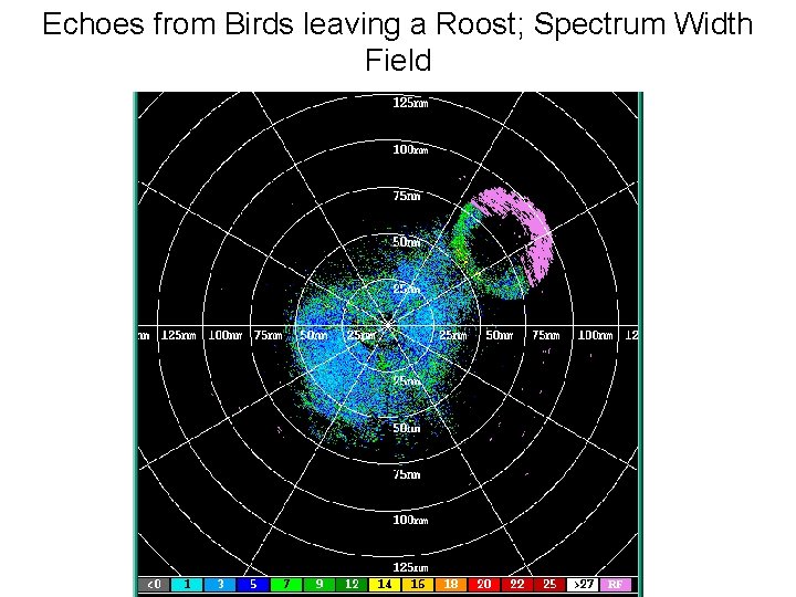 Echoes from Birds leaving a Roost; Spectrum Width Field 