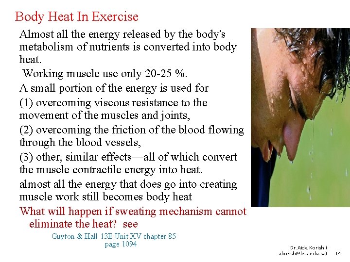 Body Heat In Exercise Almost all the energy released by the body's metabolism of