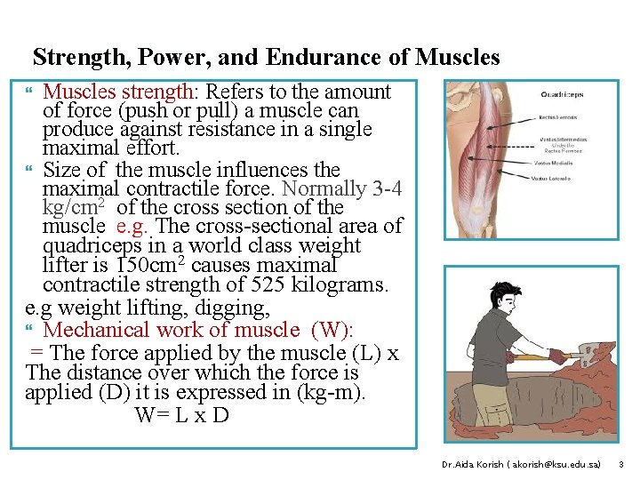 Strength, Power, and Endurance of Muscles strength: Refers to the amount of force (push