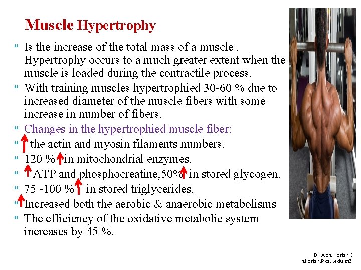 Muscle Hypertrophy Is the increase of the total mass of a muscle. Hypertrophy occurs