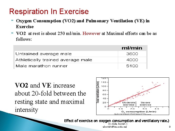 Respiration In Exercise Oxygen Consumption (VO 2) and Pulmonary Ventilation (VE) in Exercise VO