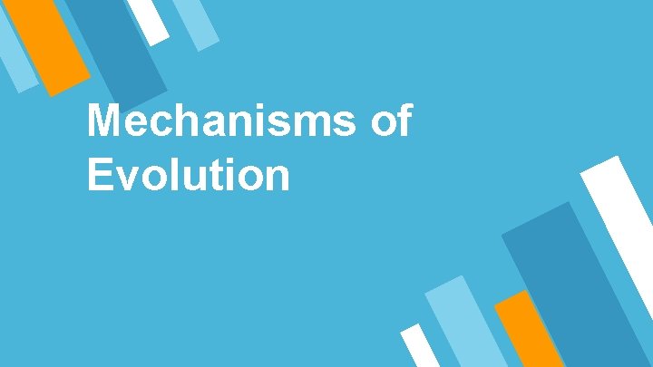 Mechanisms of Evolution 
