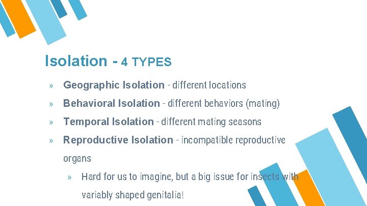 Isolation - 4 TYPES » Geographic Isolation - different locations » Behavioral Isolation -