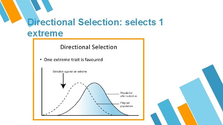 Directional Selection: selects 1 extreme 