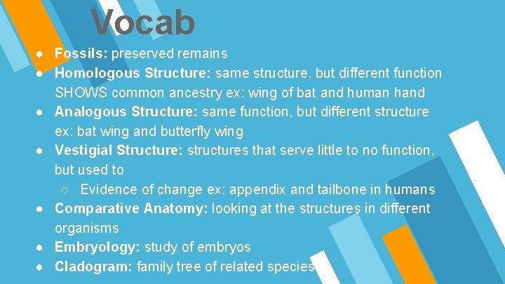 Vocab ● Fossils: preserved remains ● Homologous Structure: same structure, but different function SHOWS